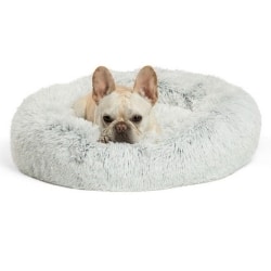 Comfort Pet Beds