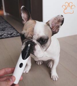Rover Dog Nail Trimmer